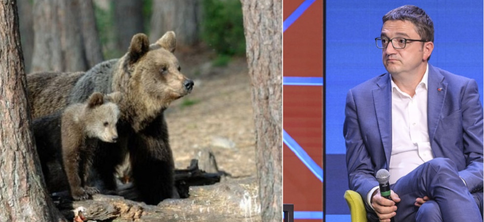 Foto Fugatti di Imagoeconomica Abbattimento F36, la Leal impugna il decreto: Da anni la Provincia dimostra di non saper gestire la convivenza uomo-animale